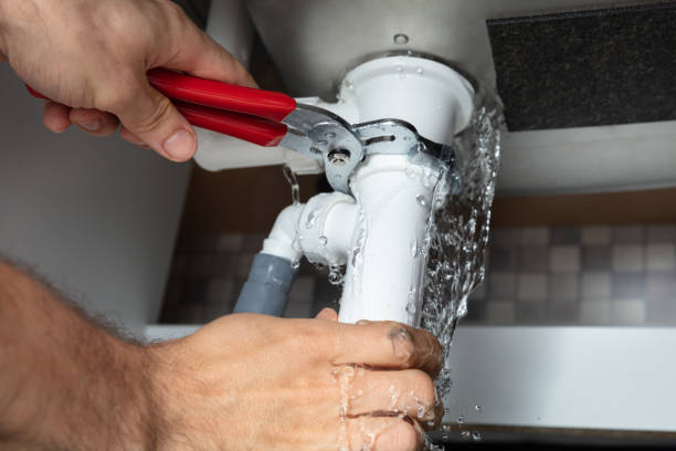 Best Flood damage cleanup  in St Matthews, SC