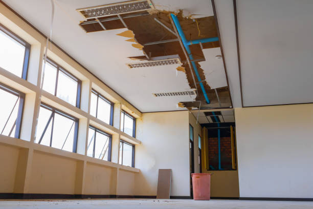 Best Water damage restoration near me  in St Matthews, SC