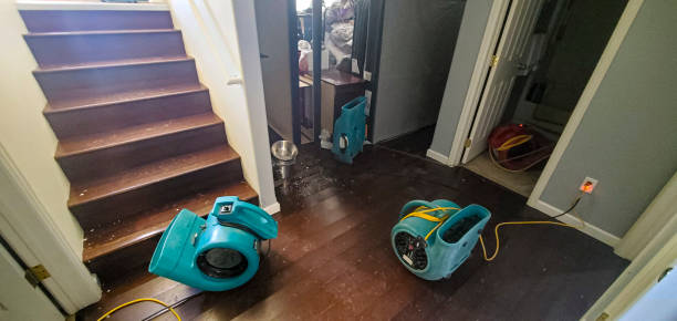Best Sewage cleanup and water damage restoration  in St Matthews, SC