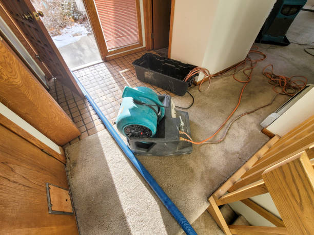 Best Flood damage cleanup  in St Matthews, SC