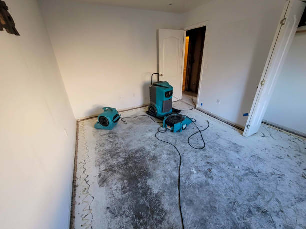 Best Carpet water damage restoration  in St Matthews, SC