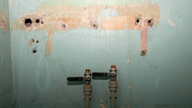 Best Basement water damage restoration  in St Matthews, SC