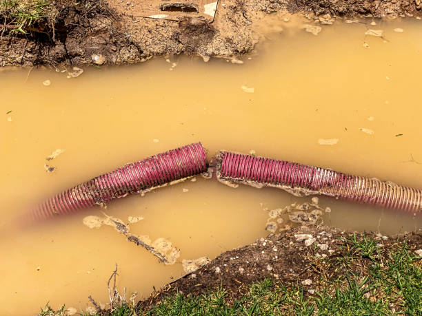 Best Water damage restoration near me  in St Matthews, SC